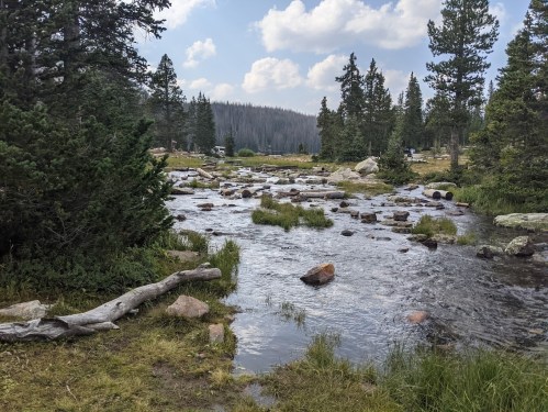 A serene river flows through a forested landscape, surrounded by trees and rocky outcrops under a partly cloudy sky.