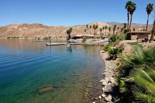 A serene lakeside view with palm trees, rocky shore, and mountains in the background under a clear blue sky.