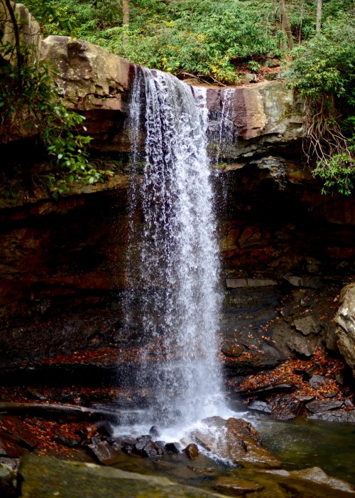 A serene waterfall cascading over rocky cliffs, surrounded by lush greenery and fallen leaves.