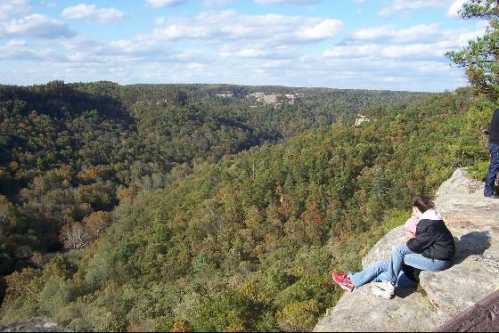 A person sits on a rocky ledge, overlooking a lush, green valley filled with trees under a partly cloudy sky.