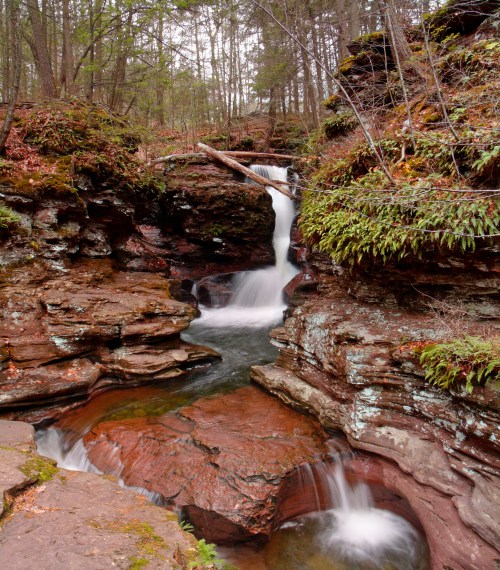 A serene waterfall cascades over rocky cliffs, surrounded by lush greenery and autumn foliage in a tranquil forest setting.