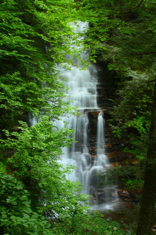 A serene waterfall cascades down rocky cliffs, surrounded by lush green foliage and trees.