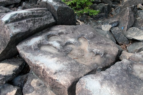 Rock surface with distinct, weathered footprints carved into it, surrounded by larger stones and greenery.