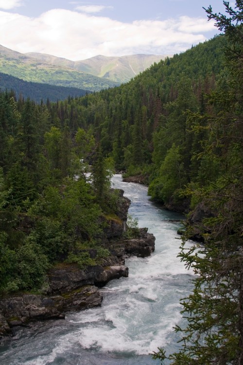 A winding river flows through a lush green forest, surrounded by mountains under a partly cloudy sky.