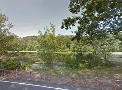 A serene view of a pond surrounded by trees, with a fence along the roadside.