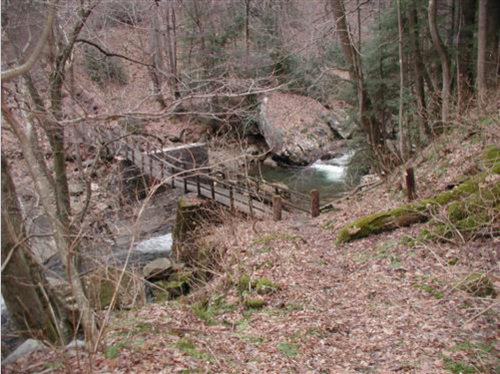 A wooden bridge crosses a stream in a forested area with bare trees and scattered leaves on the ground.