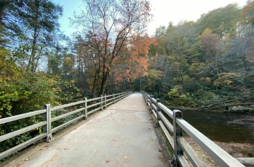A serene pathway lined with trees in autumn colors, leading alongside a river in a peaceful natural setting.