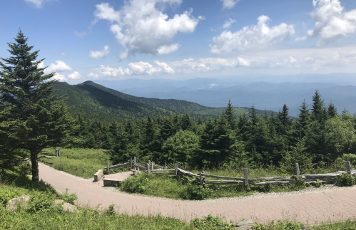 A scenic view of a mountain landscape with lush green trees, a winding path, and a blue sky with fluffy clouds.