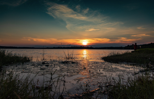 A serene sunset over a calm lake, with silhouettes of grass and a person by the water's edge.