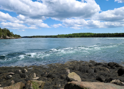 A serene river scene with gentle waves, rocky shore, and lush green trees under a partly cloudy sky.