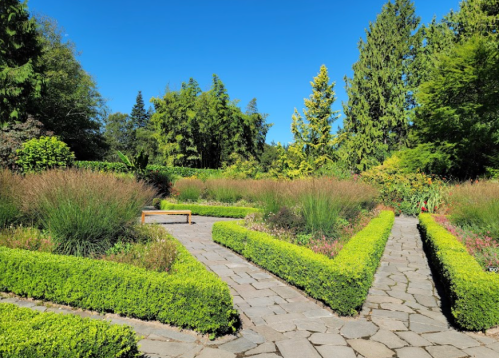 A serene garden with neatly trimmed hedges, stone pathways, and vibrant greenery under a clear blue sky.