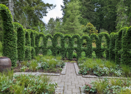 A lush garden with tall, green hedges forming a maze-like structure, surrounded by flowering plants and a stone pathway.