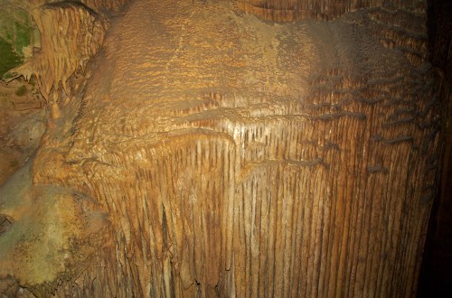 Close-up of a textured cave wall featuring stalactites and stalagmites in earthy tones.
