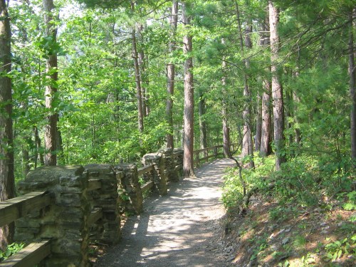 A winding path through a lush green forest, bordered by stone walls and tall trees.