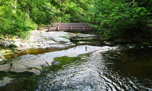 A serene stream flows over rocks, with lush greenery and a wooden bridge in the background.