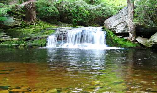 A serene waterfall cascades into a clear pool, surrounded by lush greenery and rocky terrain.