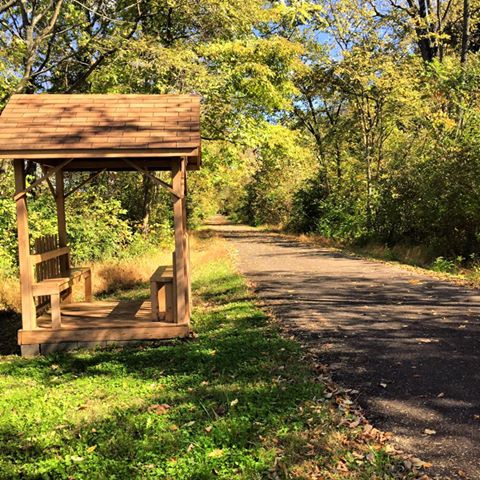 A wooden shelter beside a path lined with trees and greenery on a sunny day.