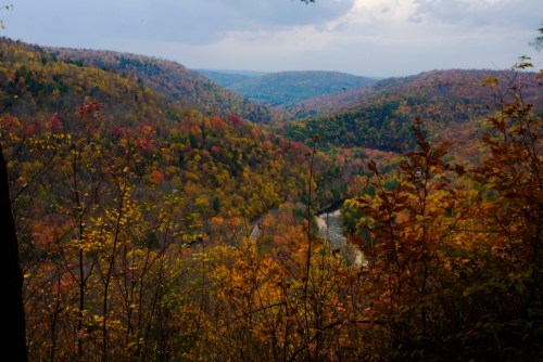 A scenic view of a valley filled with vibrant autumn foliage and a winding river below, under a cloudy sky.