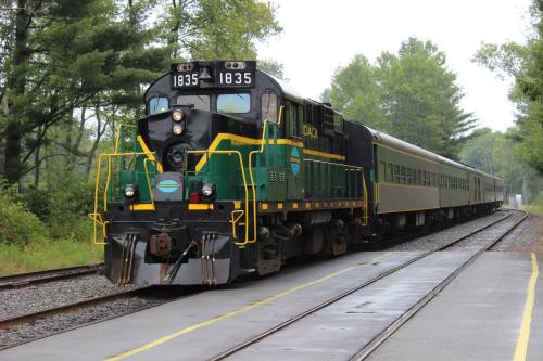 A green and black locomotive with passenger cars on a railway track surrounded by trees on a cloudy day.