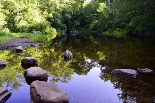 A serene river scene with smooth stones in the foreground and lush green trees reflected in the calm water.