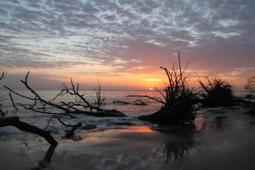 A serene beach at sunset, with silhouetted driftwood and gentle waves reflecting the colorful sky.