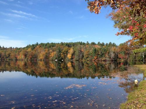 A serene lake reflecting colorful autumn trees under a clear blue sky.