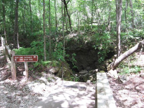 A forested area with a cave entrance and a sign indicating the tour cave entrance and side door trail.