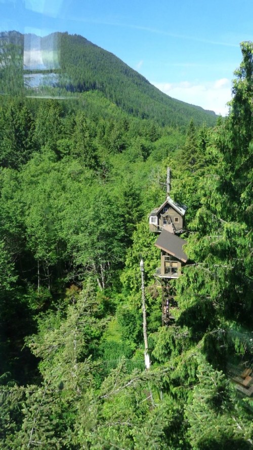 A treehouse nestled among lush green trees, with a mountain backdrop under a clear blue sky.