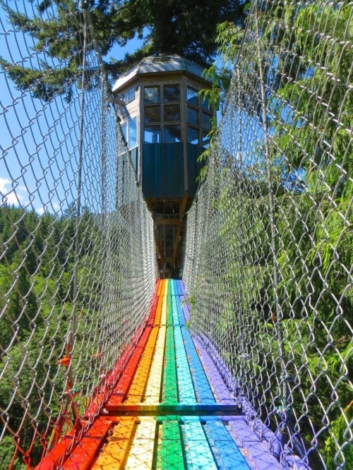 A colorful rainbow bridge leads to a treehouse, surrounded by lush greenery and a clear blue sky.