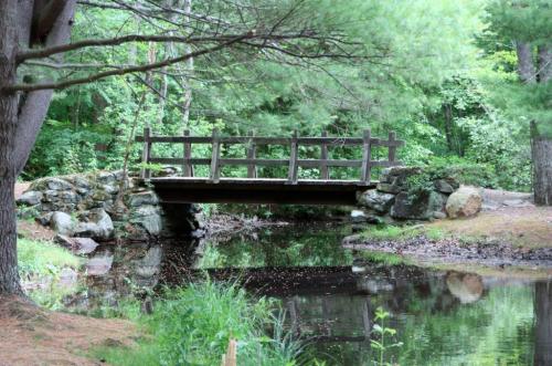 A wooden bridge spans a calm pond, surrounded by lush greenery and trees.