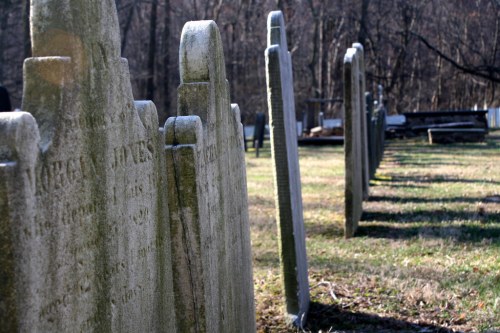 A row of weathered gravestones in a cemetery, with trees in the background and grass in the foreground.