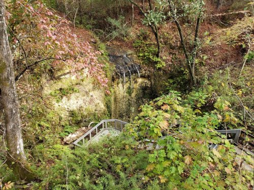 A serene forest scene featuring a small waterfall surrounded by lush greenery and autumn leaves.