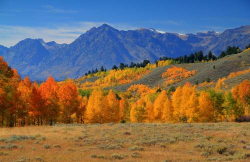 Vibrant autumn landscape with orange and yellow trees, mountains in the background, and a clear blue sky.