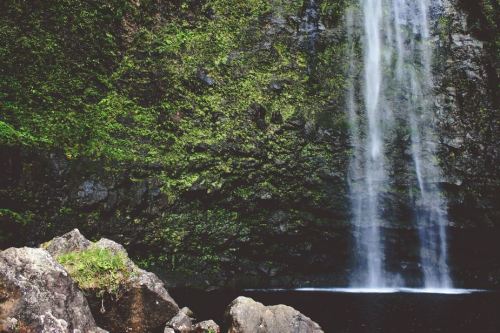 A serene waterfall cascading down a moss-covered rock face, surrounded by lush greenery and a tranquil pool below.