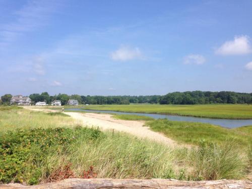 A serene landscape featuring a sandy beach, green grass, and a calm river under a clear blue sky.