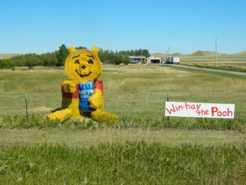 A large straw sculpture of a bear holding a sign that reads "Win-hay the Pooh" in a grassy field.