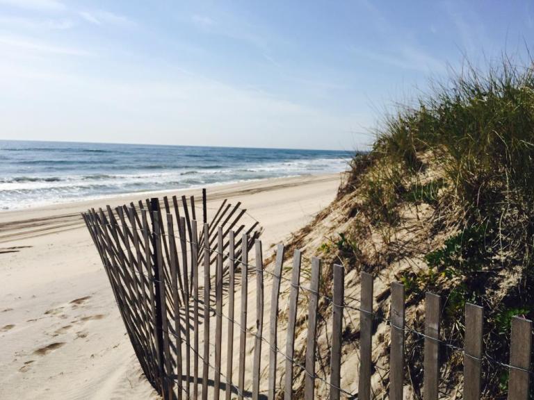 Hither Hills State Park Campground, Montauk