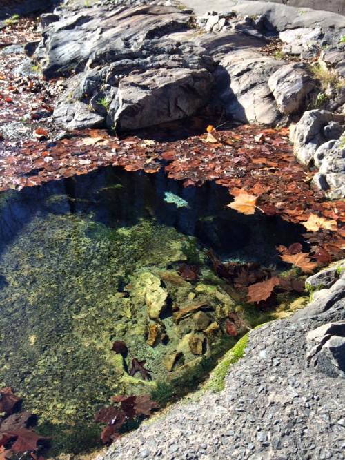 Clear water pool surrounded by rocks and autumn leaves, reflecting the natural beauty of the landscape.
