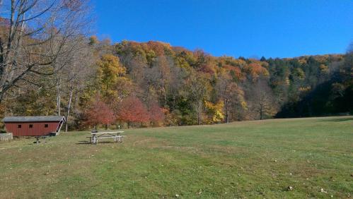 A grassy field with a picnic table and a red shed, surrounded by colorful autumn trees under a clear blue sky.