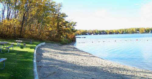 A sandy beach by a calm lake, surrounded by trees with autumn foliage and picnic tables nearby.