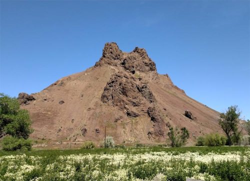 A rocky hill rises against a clear blue sky, surrounded by green vegetation and a field of white flowers in the foreground.