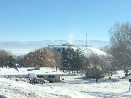 A snowy landscape featuring a hill with a flag, surrounded by trees and a house in the foreground.