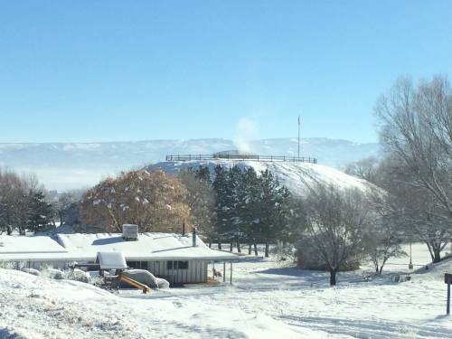 A snowy landscape featuring a hill with a flag, surrounded by trees and a house in the foreground.