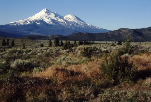 Snow-capped mountains rise above a grassy landscape under a clear blue sky, with sparse trees in the foreground.