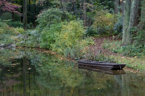 A serene pond surrounded by lush greenery and trees, with a small boat resting on the water's edge.