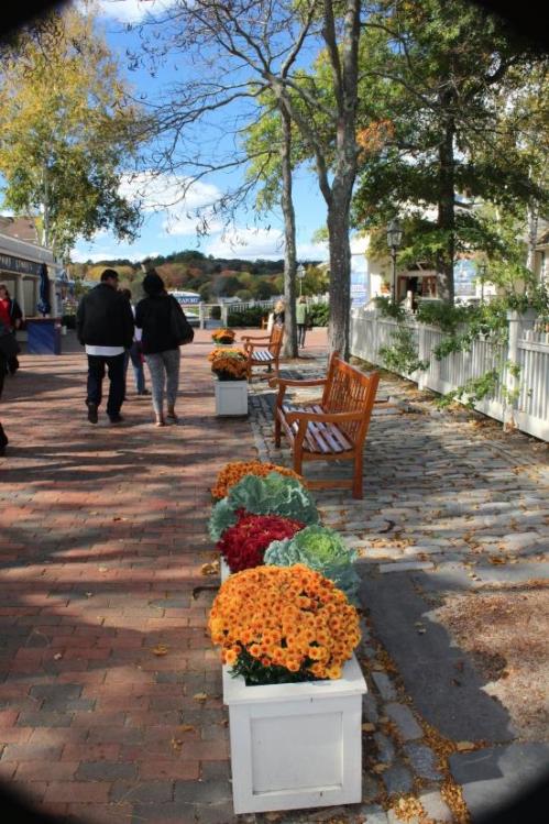 A scenic walkway with benches, colorful flower arrangements, and trees under a blue sky, as people stroll by.