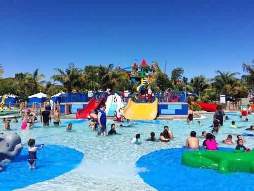 A vibrant water park scene with families enjoying slides and a pool under a clear blue sky. Palm trees in the background.