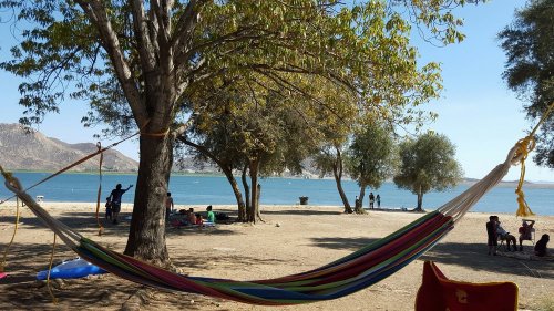 A colorful hammock hangs between trees by a beach, with people enjoying the sunny day near the water.
