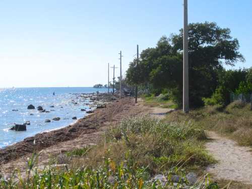 A scenic shoreline with a path, trees, and utility poles beside calm waters under a clear blue sky.