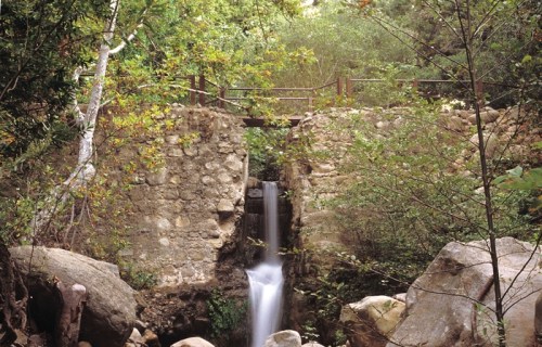 A serene waterfall cascades over rocks, surrounded by lush greenery and a stone wall in a tranquil forest setting.